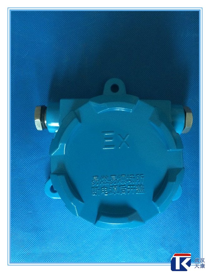 壁掛式防爆熱電阻/pt100、4-20mA輸出